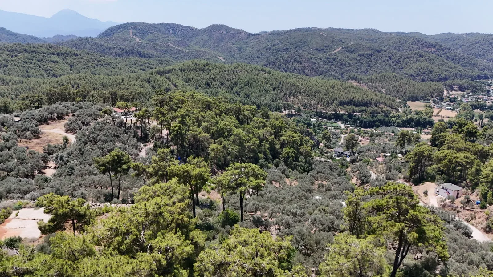 Olive Grove Plot at Captains’ Villas, İnlice