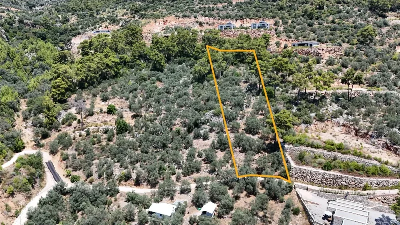 İnlice Kaptanların Villaları Zeytinlik – Parsel Sınırları, Kuş Bakışı