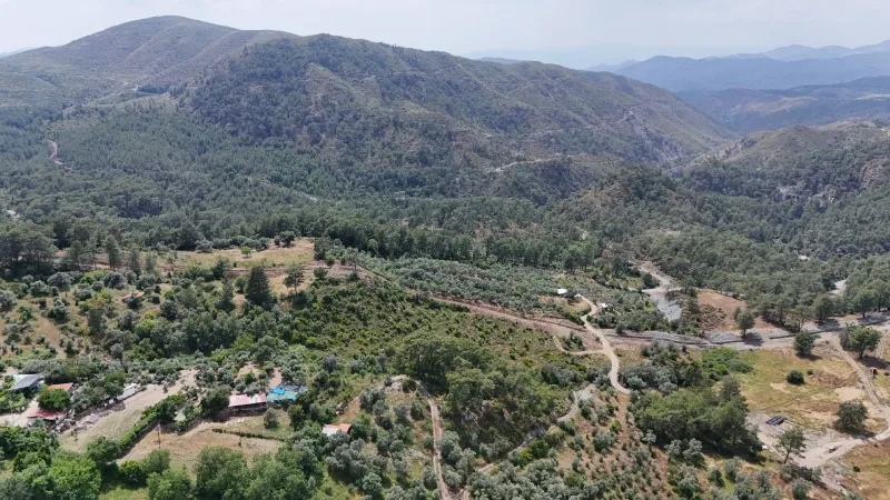 Göcek Taşbaşı'nda Yol Cepheli Zeytinlikli 23.160 m² Tarla – Arazinin Vadi İçindeki Genel Konumu