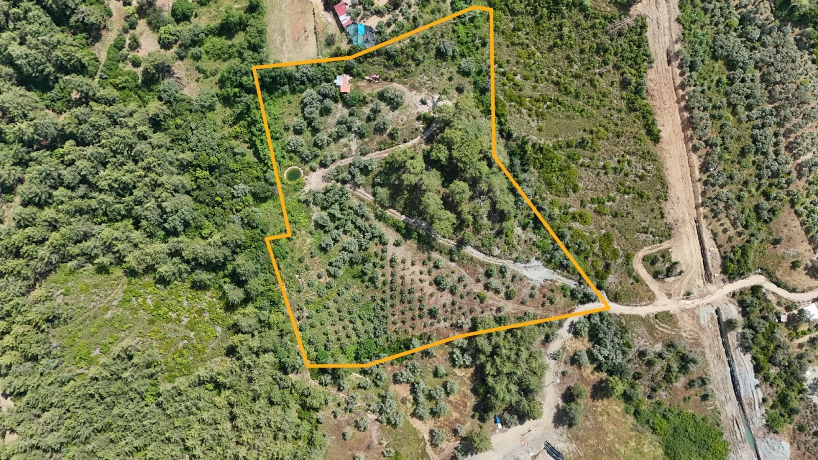 Göcek Taşbaşı'nda Yol Cepheli Zeytinlikli 23.160 m² Tarla