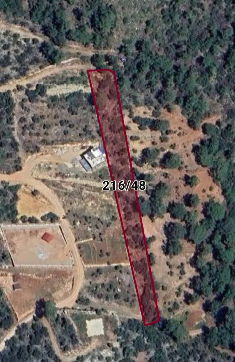 İnlice'de Doğa İçinde 3.140 m² Zeytinlik Arazi