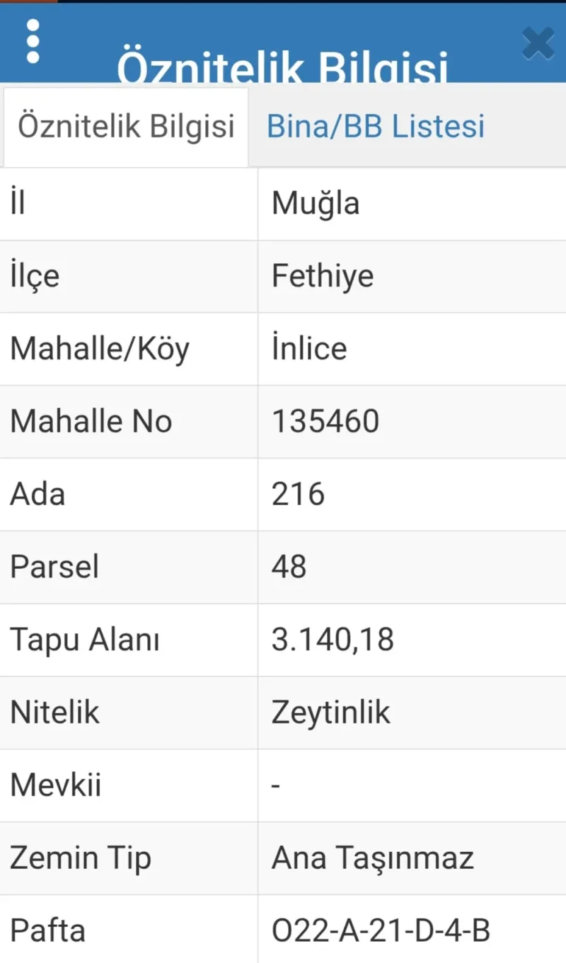 İnlice'de 3.140 m² Zeytinlik Arazi – Tapu Kayıt Bilgileri (3.140 m² Zeytinlik Nitelikli Arsa)