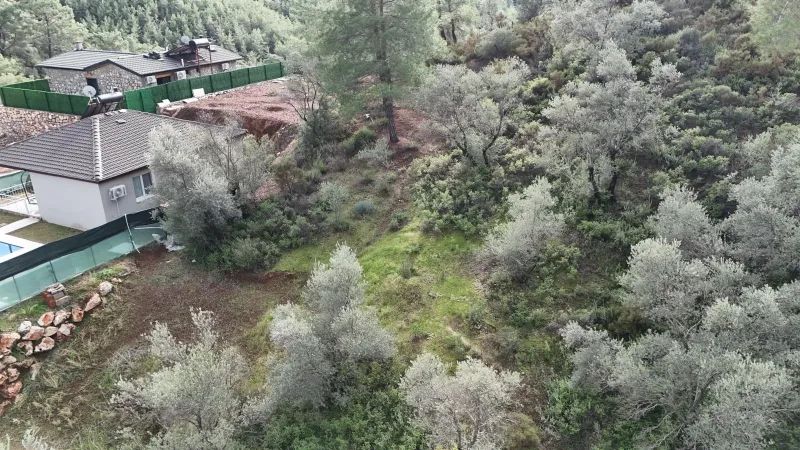 Göcek İnlice 928 m² zeytinlik; eğimli zeytinlik arazide havuzlu modern villalar ve çam ormanı