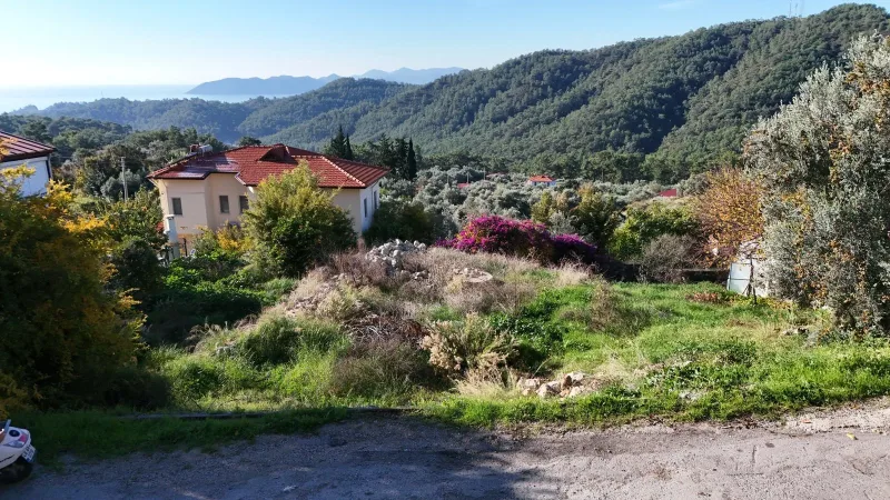 Belenpınar narenciye bahçesi – görsel 3