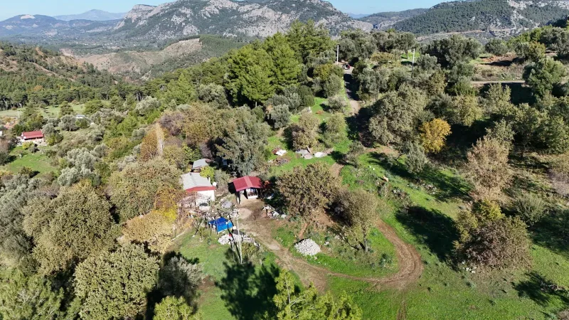Taşbaşı satılık tarla – görsel 2