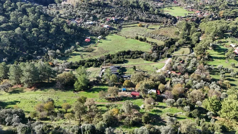 Taşbaşı satılık tarla – görsel 3