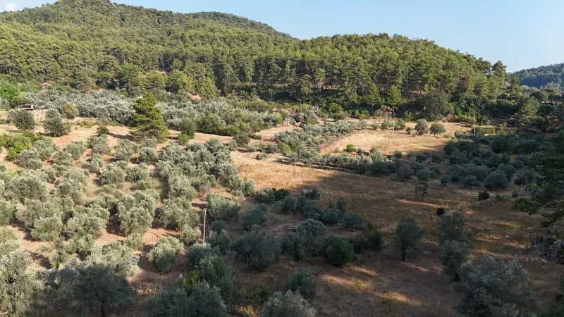 Gökçeovacık Huzur Vadisi'nde Satılık 2.328 m² Tarla