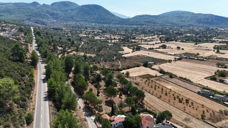 Çamlık yamaçtan Fethiye ovasına bakan geniş arazi manzarası