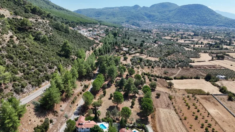 Üzümlü sırtlarında dağ evleri ve çam korusu kuşbakışı