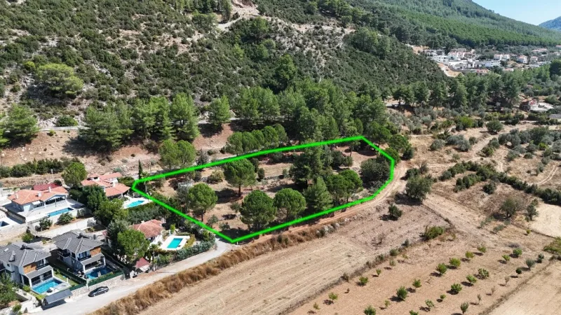 On bir parselin birlikte gösterildiği yeşil sınır çizgisi
